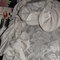 Dsc00529_grid