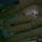 B4b6d3d1d310c80653bb198296161ccb857e19d4_grid
