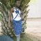 84f86c2fef40dbbf49bd2f2ef8ed65dfa9fe429b_grid