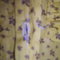 A6045e31a876c505ca238fb5f951150cf6d05ff1_grid