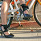 Spiderlilyspats17_grid