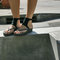 Spiderlilyspats02_grid