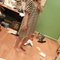 Pa120552_grid
