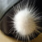 Puff_detail_grid