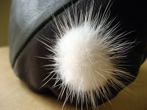 Puff_detail_large