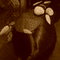 Dsc00037_grid