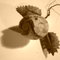 Dsc00026_grid