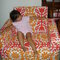 Dsc07335_grid
