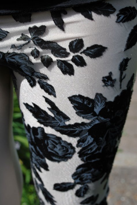 Dsc_0067_burda_large