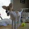 Dscn2063_grid