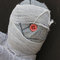 Mummy_3_grid