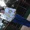 Dsc02867_grid