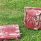 Lacishii_053_grid