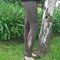 Slashedleg_1_grid