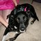 100_0472_grid
