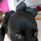 100_0539_2_grid