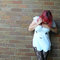 Ghostdress01_grid