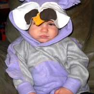Aldous_in_the_owl_005_listing