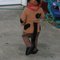Doggy2_grid