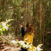 Into_the_woods_listing