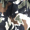 Camou_fabric_grid