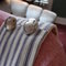 Dsc04235_grid