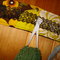 Dsc03035_grid