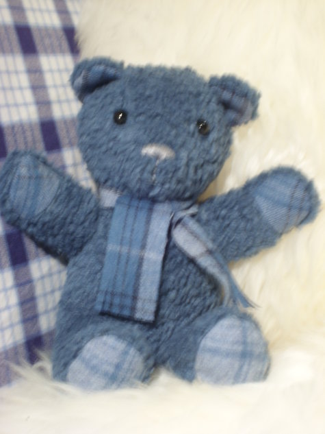 Teddy_large