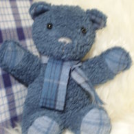 Teddy_listing