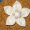 Cotton_flower_grid