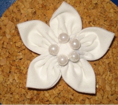 Cotton_flower_large