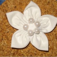 Cotton_flower_listing