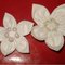 Cotton_flowers1_grid
