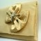 Clutch_detail_grid