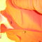 Dscn1663_grid