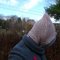 L1010170_grid