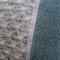 L1010172_grid