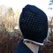 L1010139_grid