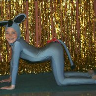 Shrek_2009_donkey_listing