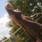 Fashion_design-______________94_grid