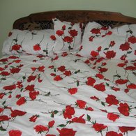 Img_0001aa_listing