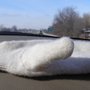 Mitten1_thumb