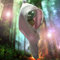 Magical-forest_1024x786_copy_grid