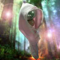 Magical-forest_1024x786_copy_listing