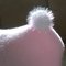 Cimg7624_grid