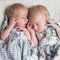 Twins_7_grid