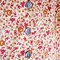 Golden_roses_and_leaves_shirtdress_02_button_detail_grid