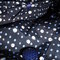 Dscf1928_grid