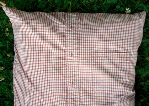 Cimg2286_copy_large