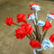 Dsc03479_grid